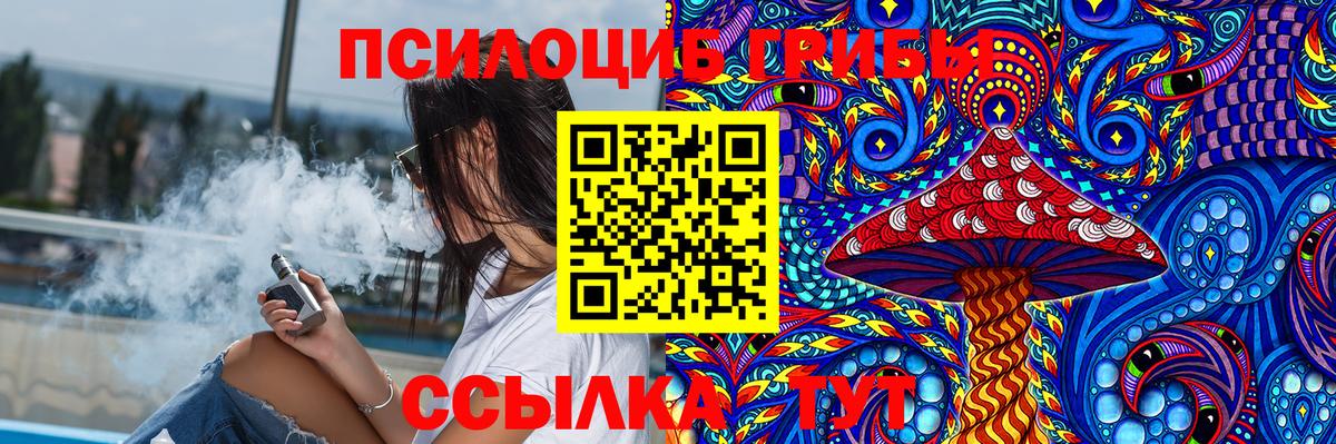 Сарапул  Псилоцибиновые грибы Cubensis  Вход с VPN 